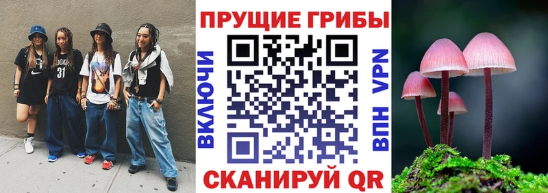 Галлюциногенные грибы Psilocybe Купить где Пыталово